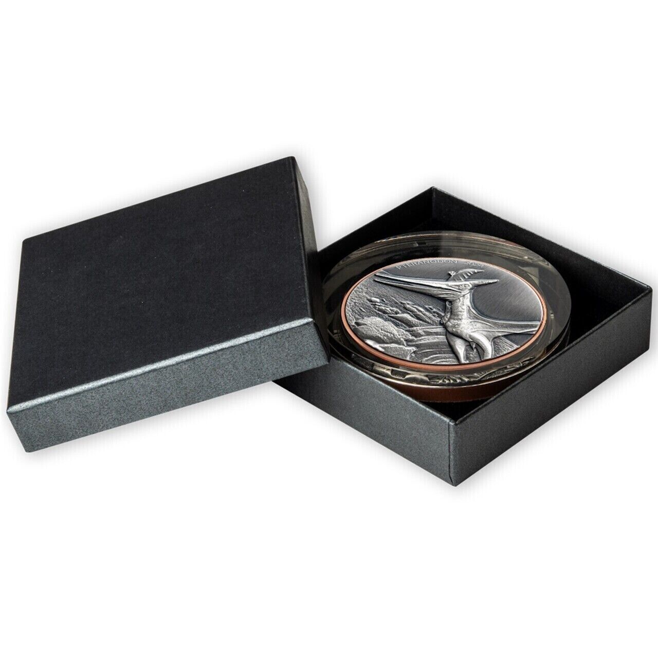 10g Silver Coin & 145g Copper 2024 Vanuatu Pteranodon Double Giant HR Dinosaur-classypw.com-3