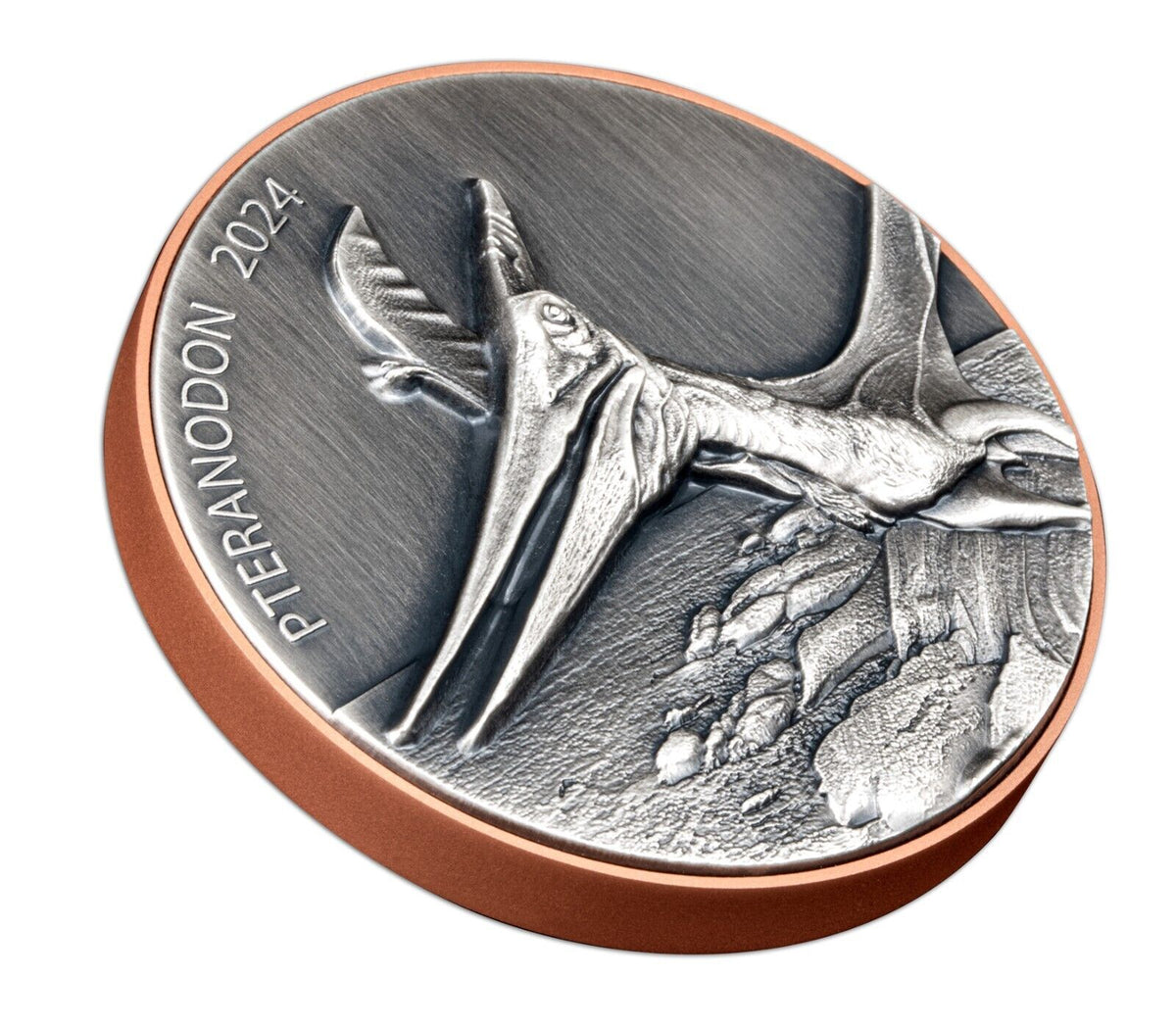 10g Silver Coin &amp; 145g Copper 2024 Vanuatu Pteranodon Double Giant HR Dinosaur-classypw.com-5