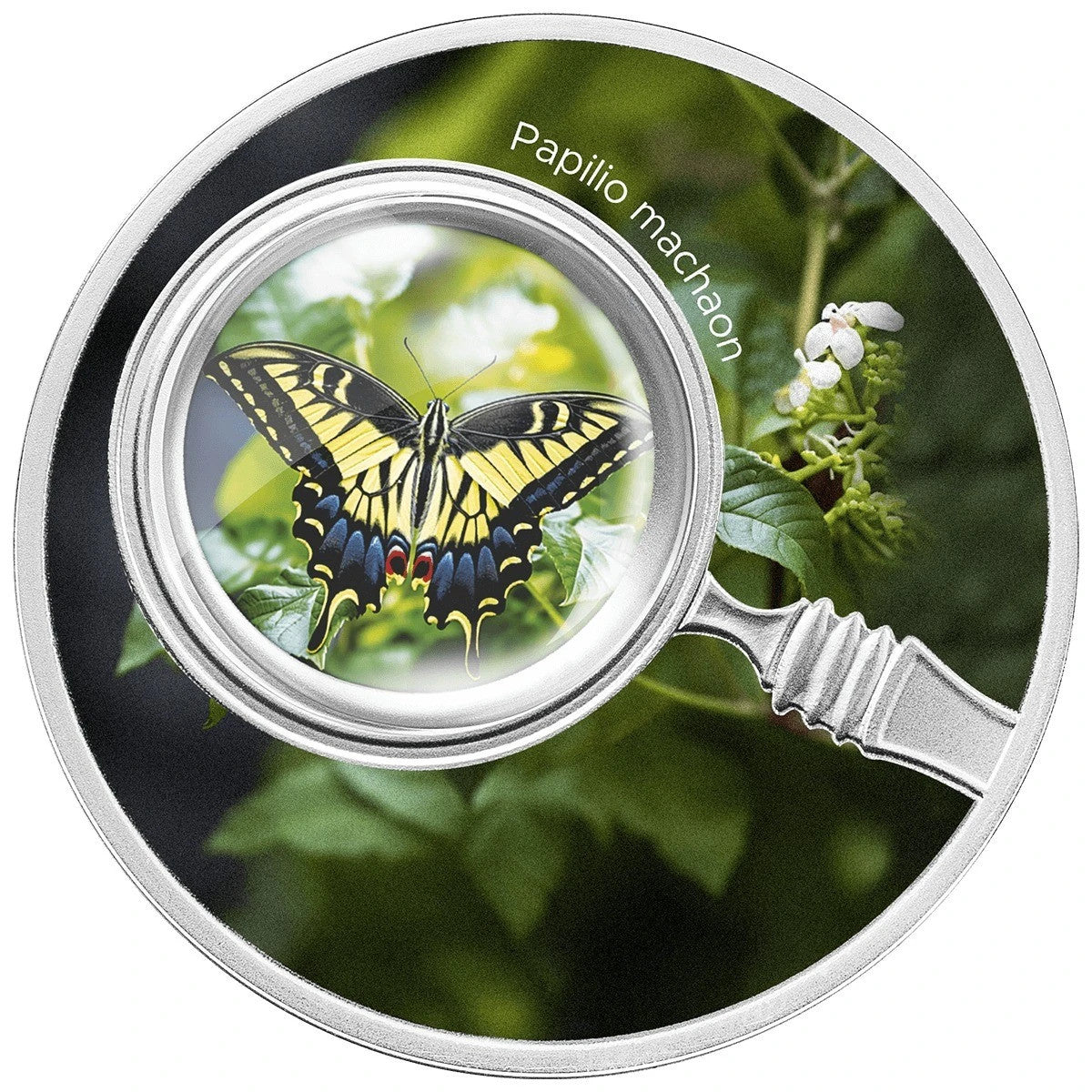 varientimages