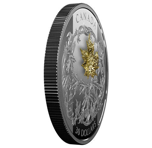 2 Oz Silver Coin 2018 Canada $30 Golden Maple Leaf with 1g 18k Gold Leaf-classypw.com-2