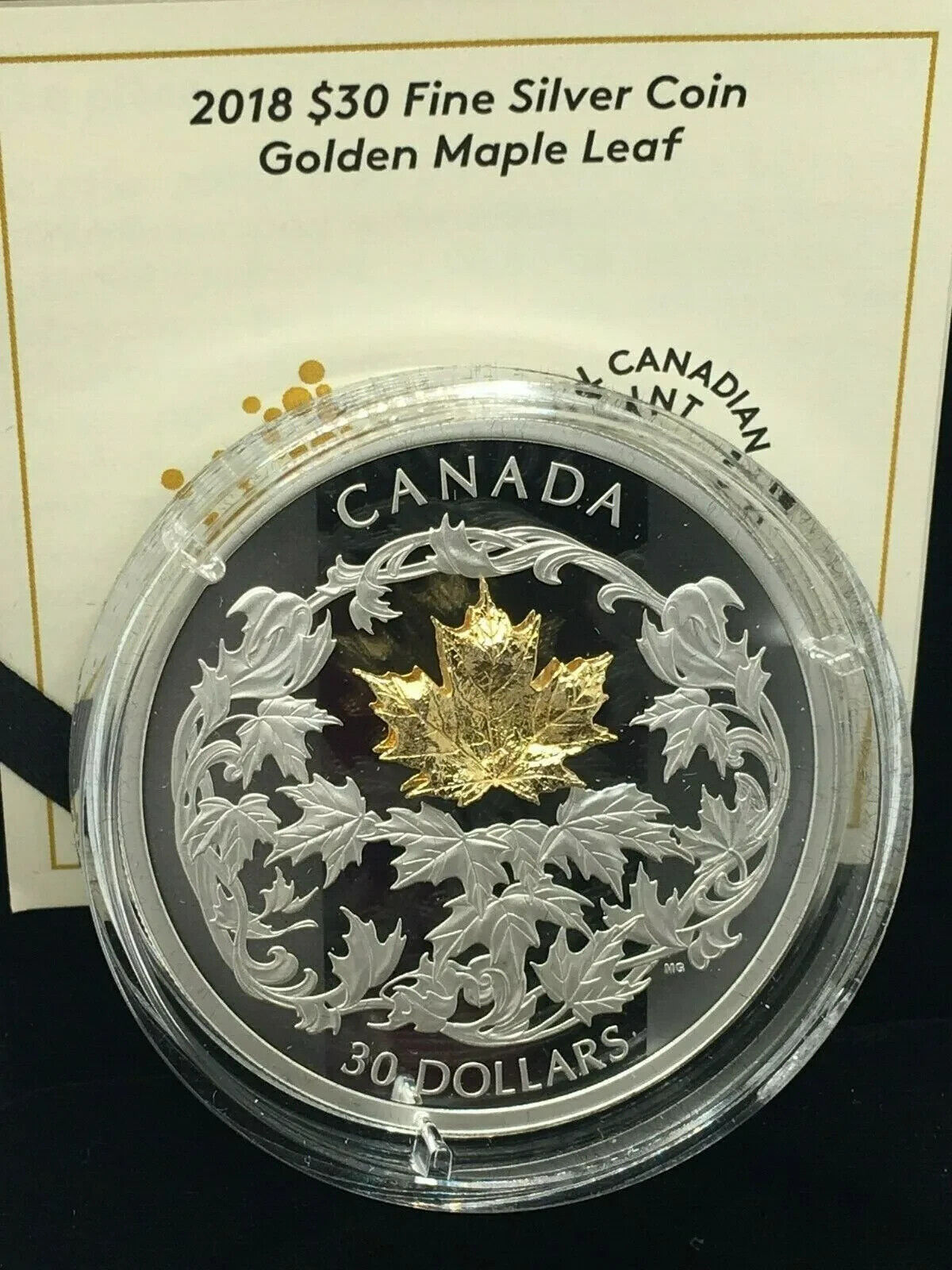 2 Oz Silver Coin 2018 Canada $30 Golden Maple Leaf with 1g 18k Gold Leaf-classypw.com-3