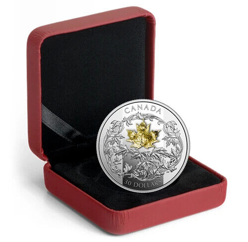2 Oz Silver Coin 2018 Canada $30 Golden Maple Leaf with 1g 18k Gold Leaf-classypw.com-5