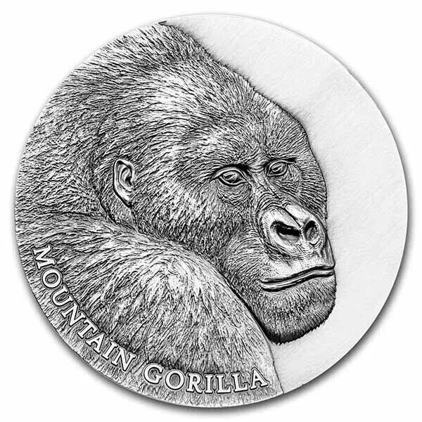 2 Oz Silver Coin 2021 Cameroon 1000 CFA Mountain Gorilla Expressions of Wildlife-classypw.com-1