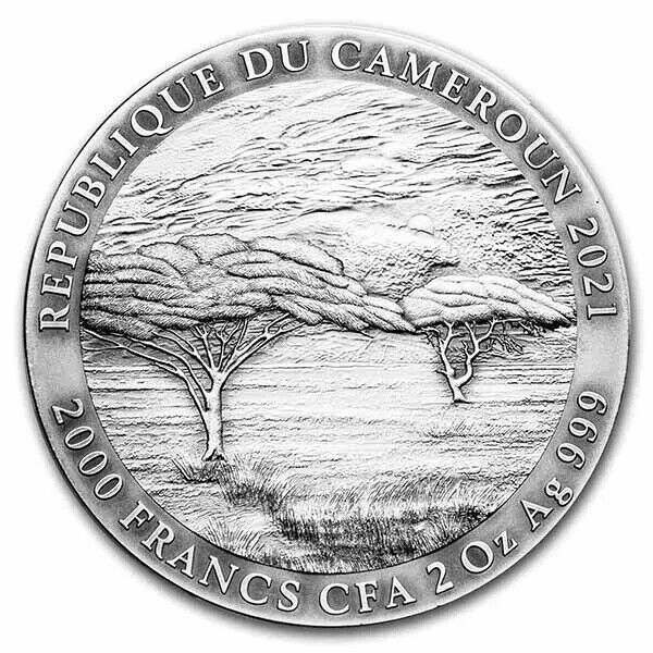 2 Oz Silver Coin 2021 Cameroon 1000 CFA Mountain Gorilla Expressions of Wildlife-classypw.com-2