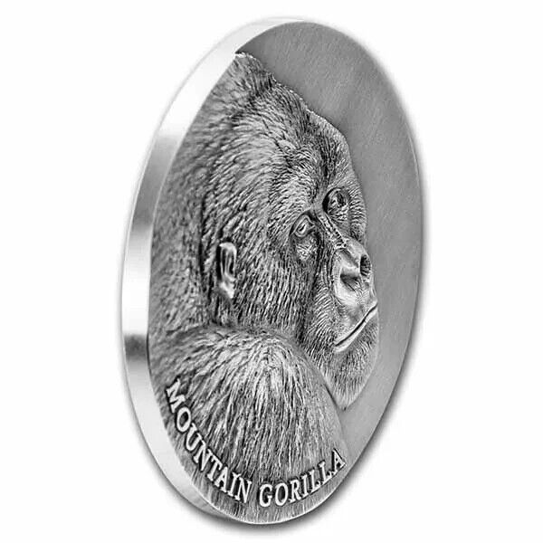 2 Oz Silver Coin 2021 Cameroon 1000 CFA Mountain Gorilla Expressions of Wildlife-classypw.com-3