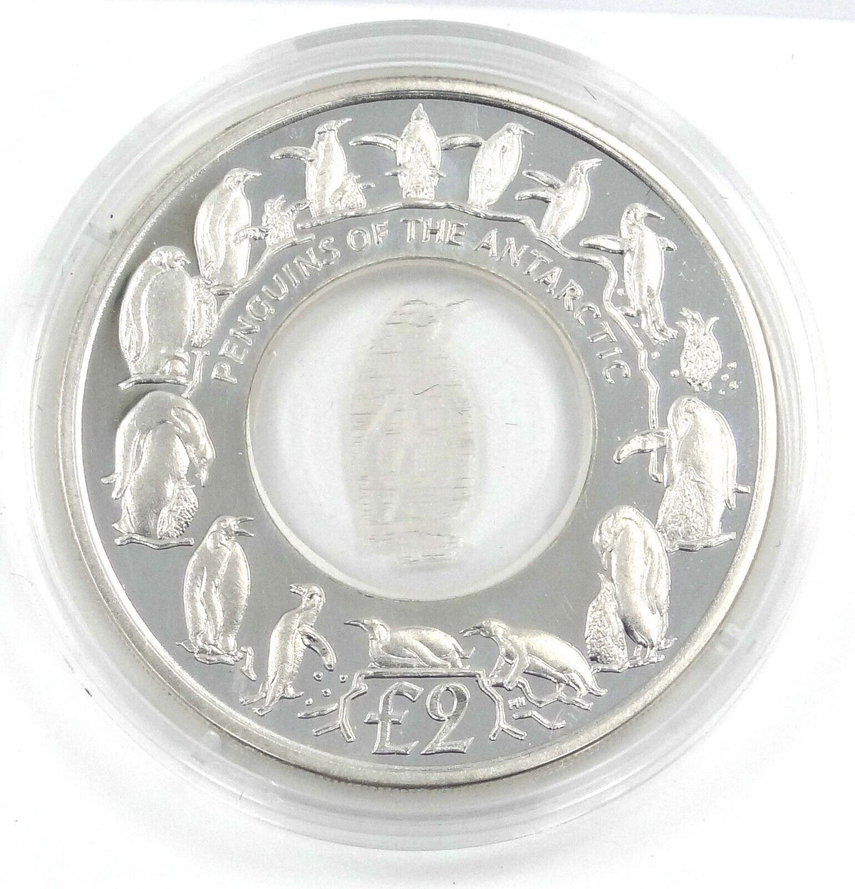 23.45g Silver Coin 2007 South Georgia Sandwich Islands Penguins of the Antarctic-classypw.com-3