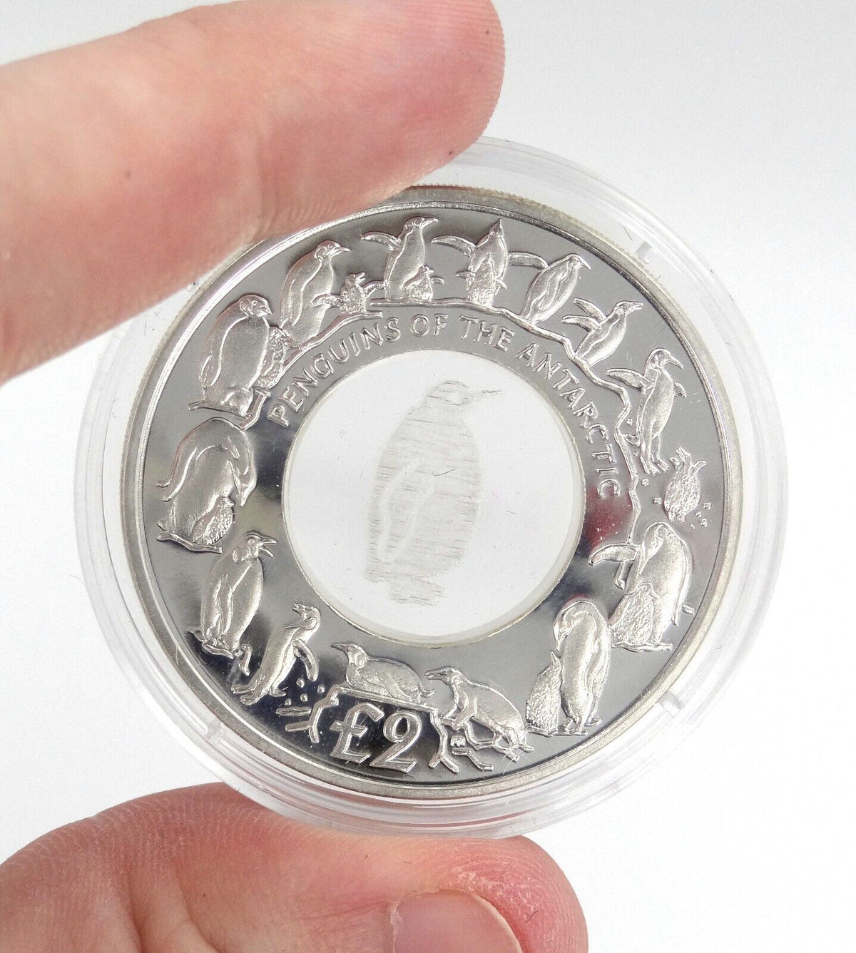 23.45g Silver Coin 2007 South Georgia Sandwich Islands Penguins of the Antarctic-classypw.com-5