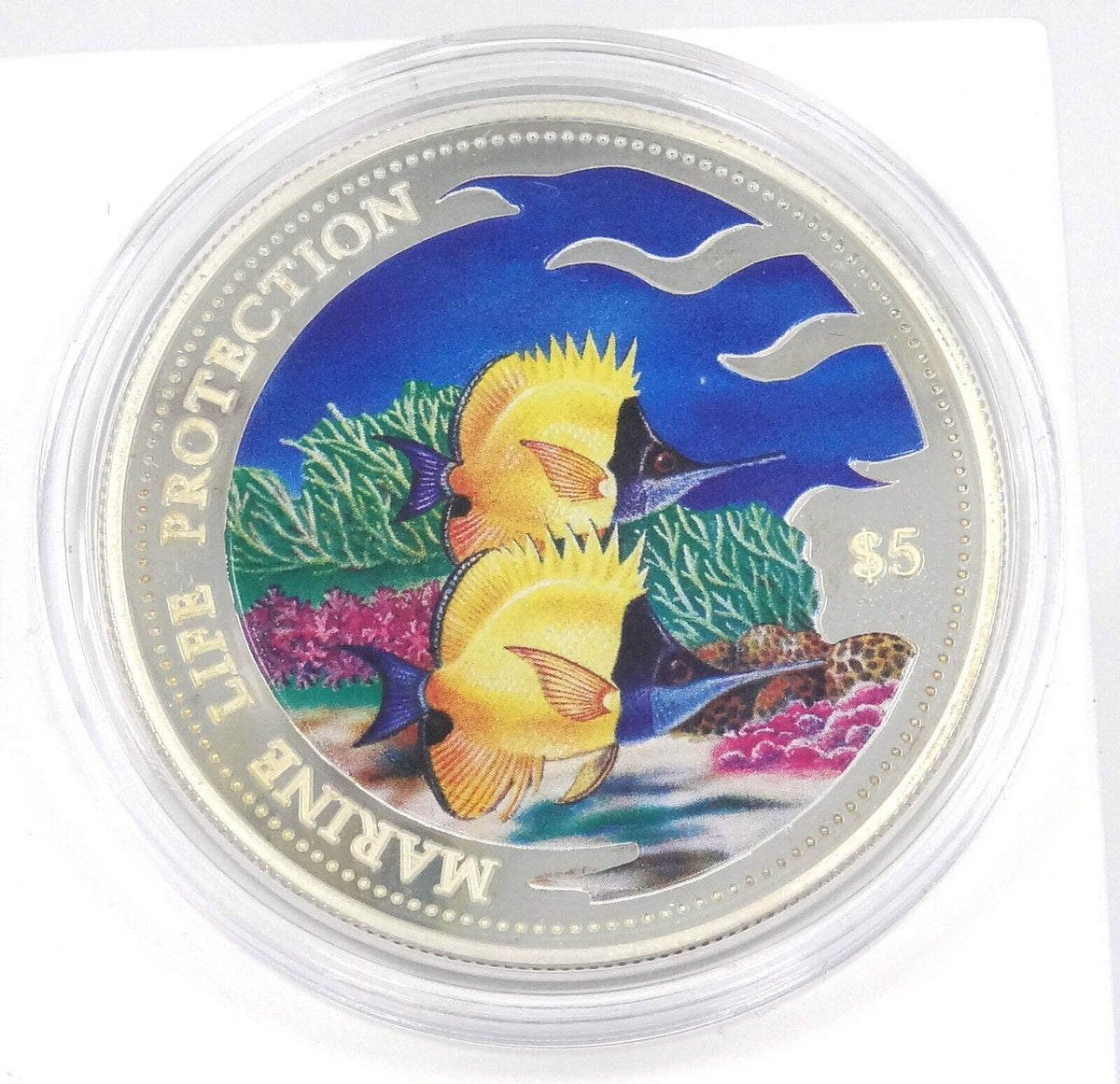25g Silver Coin 2001 $5 Solomon Islands Marine Life Protection Fish-classypw.com-1