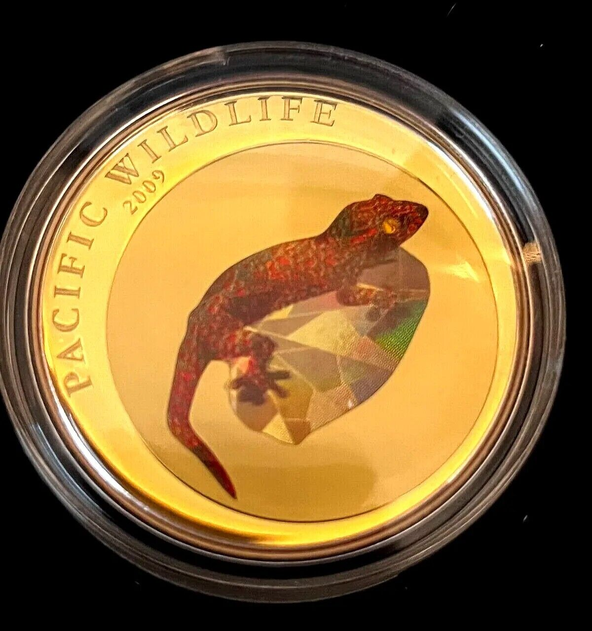 25g Silver Coin 2007 $5 Palau Pacific Wildlife Gecko Prism-classypw.com-2