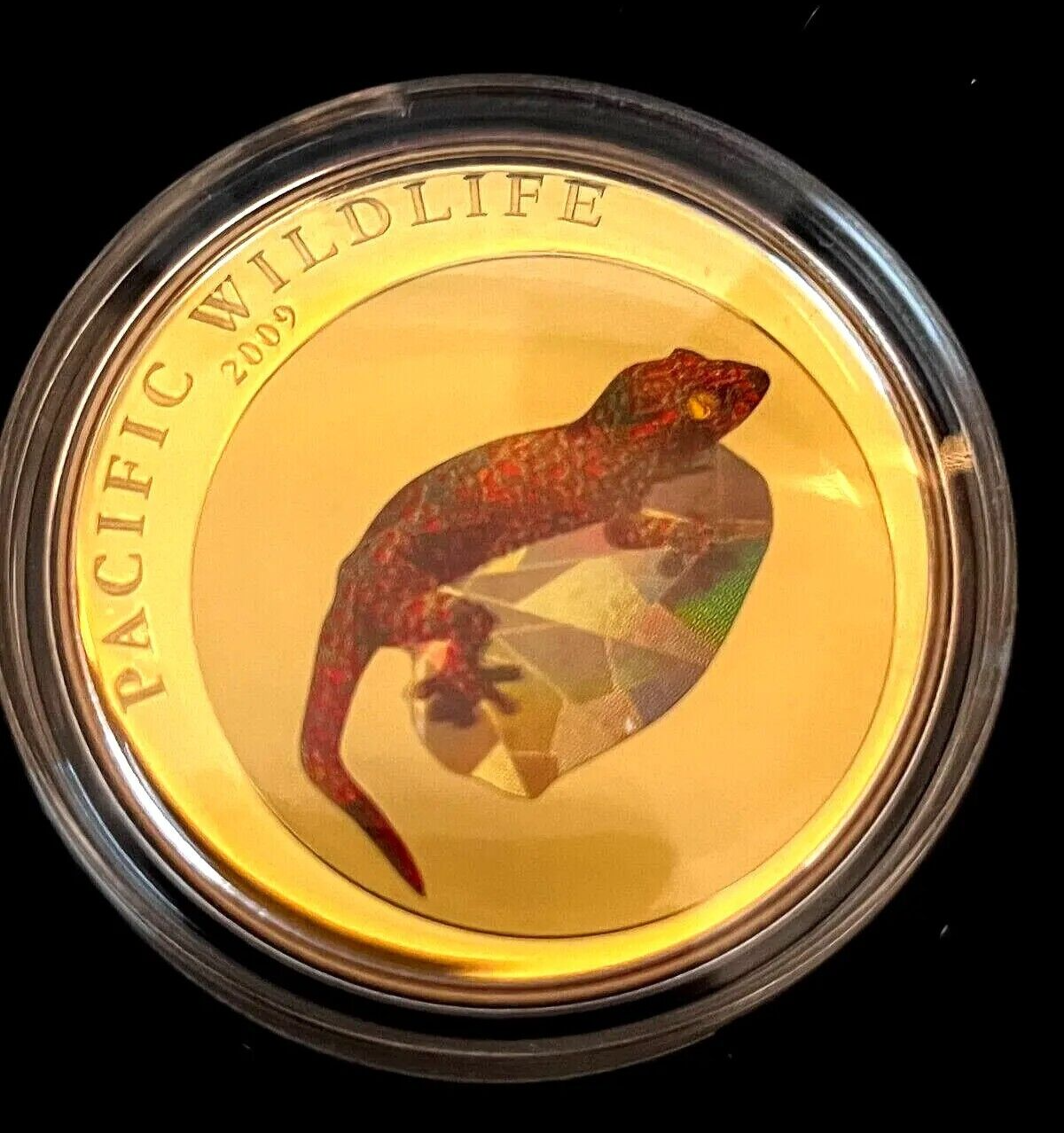 25g Silver Coin 2007 $5 Palau Pacific Wildlife Gecko Prism-classypw.com-1