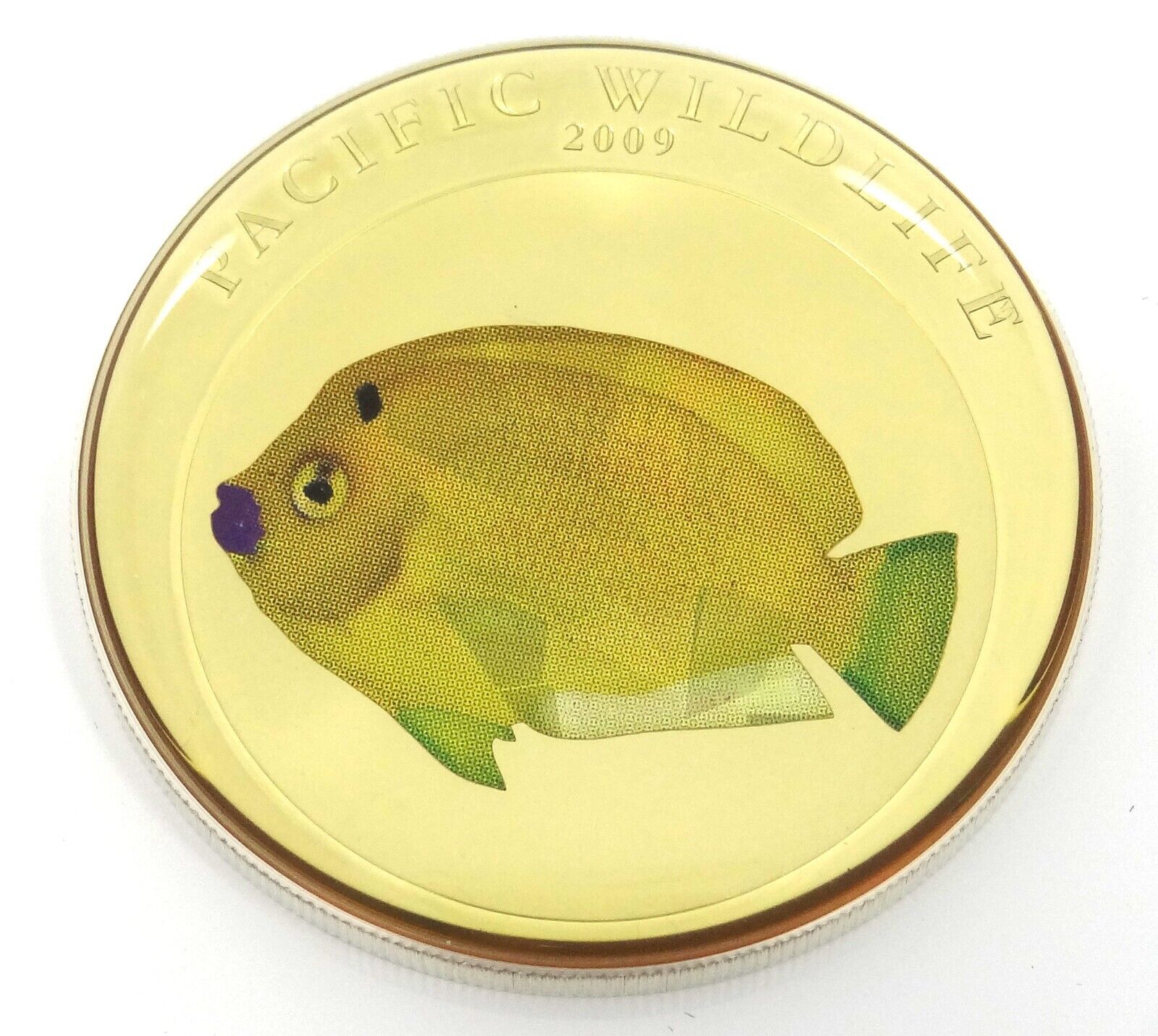 25g Silver Coin 2009 $5 Palau Pacific Wildlife Flagfin Angelfish Prism OGP-classypw.com-1