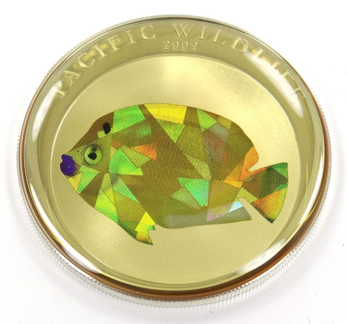 25g Silver Coin 2009 $5 Palau Pacific Wildlife Flagfin Angelfish Prism OGP-classypw.com-3