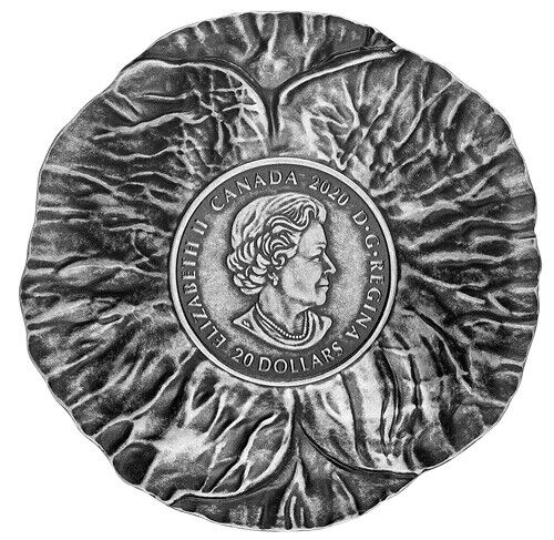 28.50g Silver Coin 2020 $20 Remembrance Day Poppy Flower Shaped Curved Coin-classypw.com-2