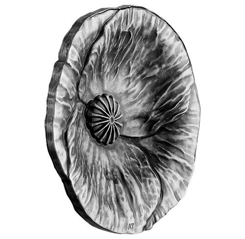 28.50g Silver Coin 2020 $20 Remembrance Day Poppy Flower Shaped Curved Coin-classypw.com-3
