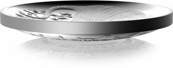 30.75g Silver Coin 2021 Canada $25 125th Anniversary of the Klondike Gold Rush-classypw.com-4