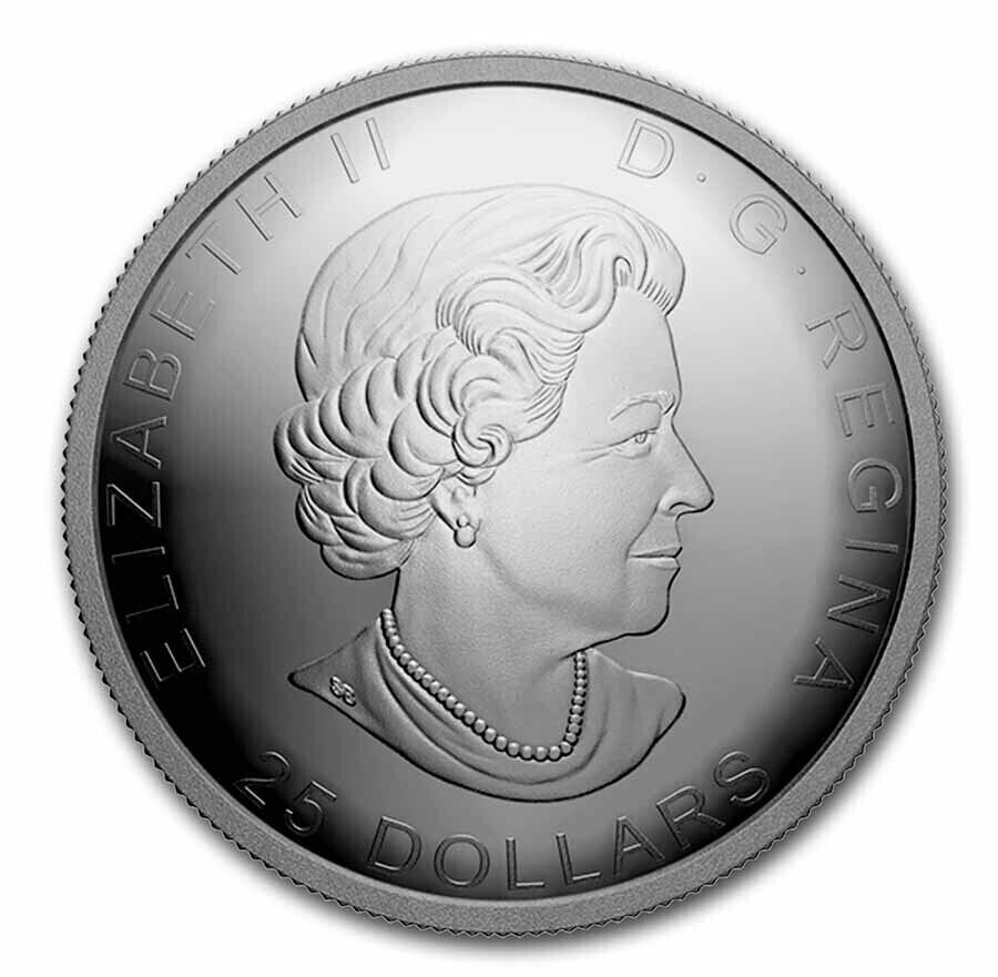 30.75g Silver Coin 2021 Canada $25 125th Anniversary of the Klondike Gold Rush-classypw.com-7