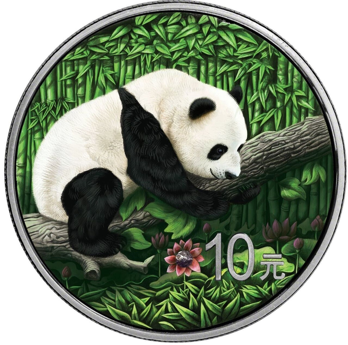 30g Silver Coin 2016 10 Yuan China Chinese Panda Nantan Meteorite Color Coin-classypw.com-6