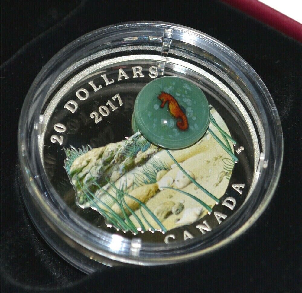 31.39g Silver Coin 2017 Canada $20 Murrini Glass Proof Under the Sea - Seahorse-classypw.com-6
