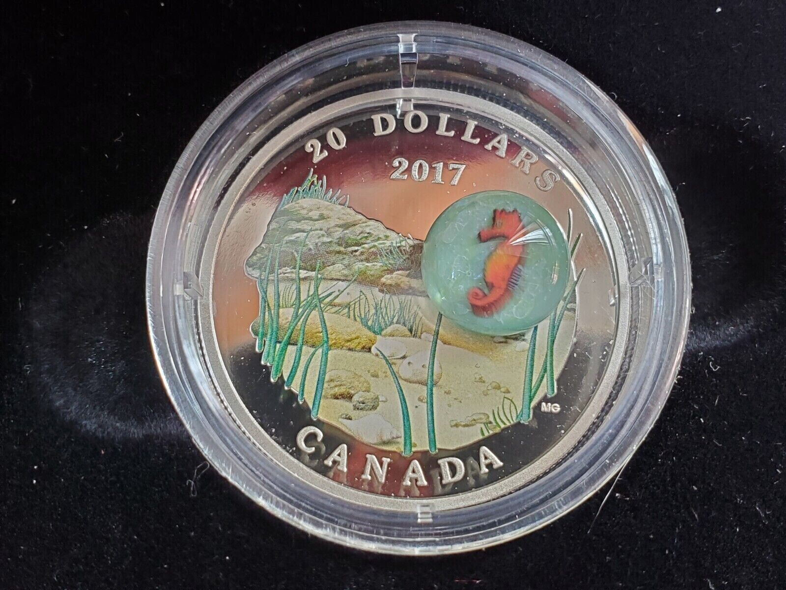 31.39g Silver Coin 2017 Canada $20 Murrini Glass Proof Under the Sea - Seahorse-classypw.com-7