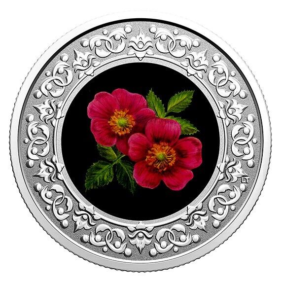 7.96g Silver Coin 2021 $3 Canada Floral Emblems of Canada: Alberta Wild Rose-classypw.com-1