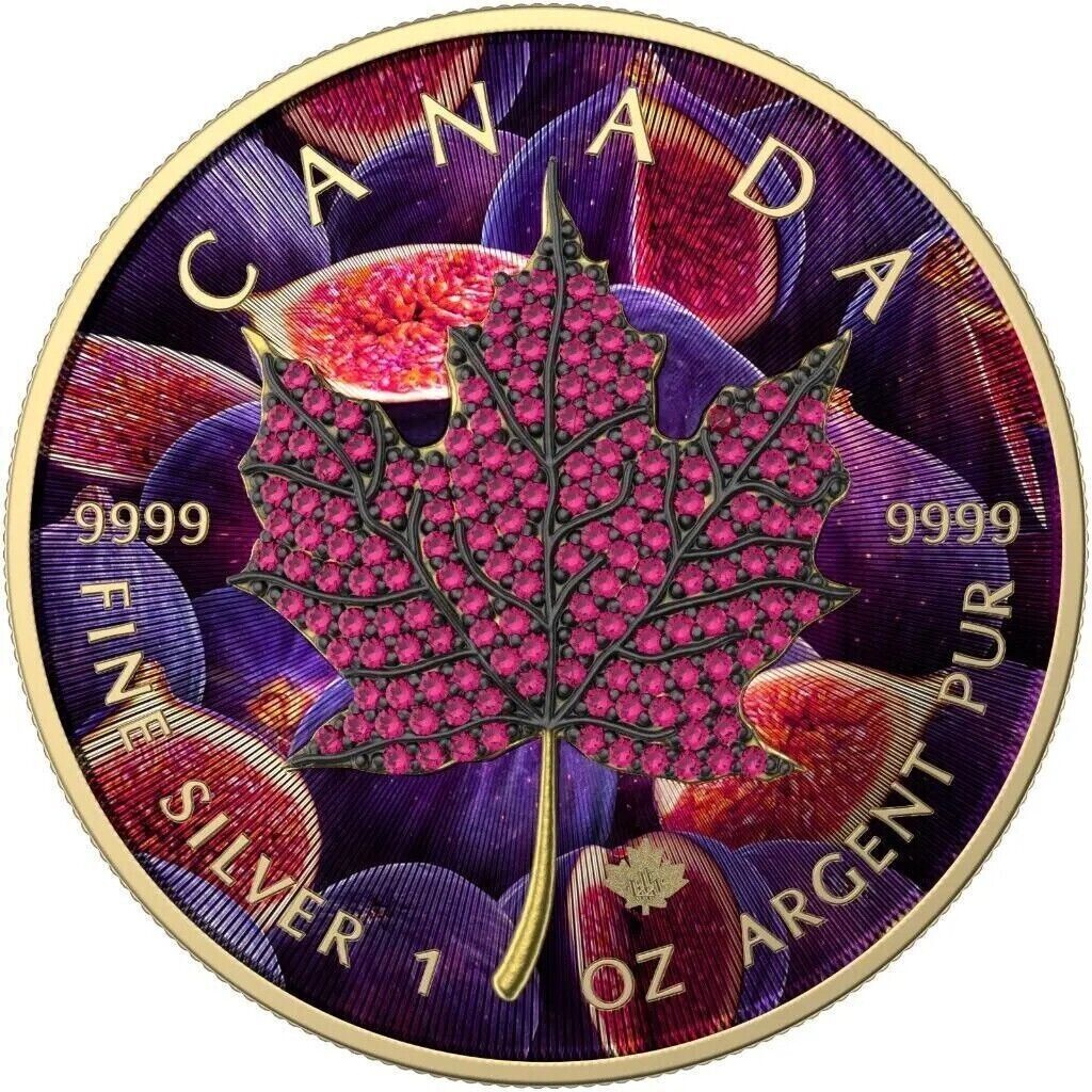 9 pieces - 1 Oz Silver Coin 2022 Canada $5 Maple Seasons April-December