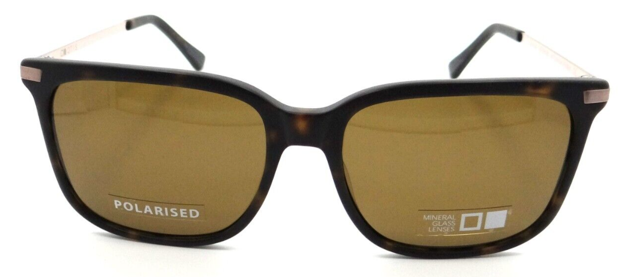 Otis Eyewear Sunglasses Crossroads 55-17-140 Matte Dark Tort / Brown Polarized
