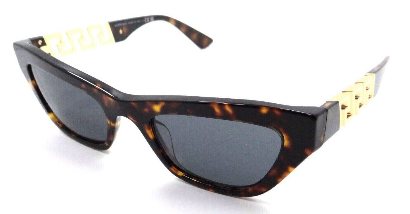 Versace Sunglasses VE 4419 108/87 52-21-145 Havana / Dark Grey Made in Italy-8056597620000-classypw.com-1