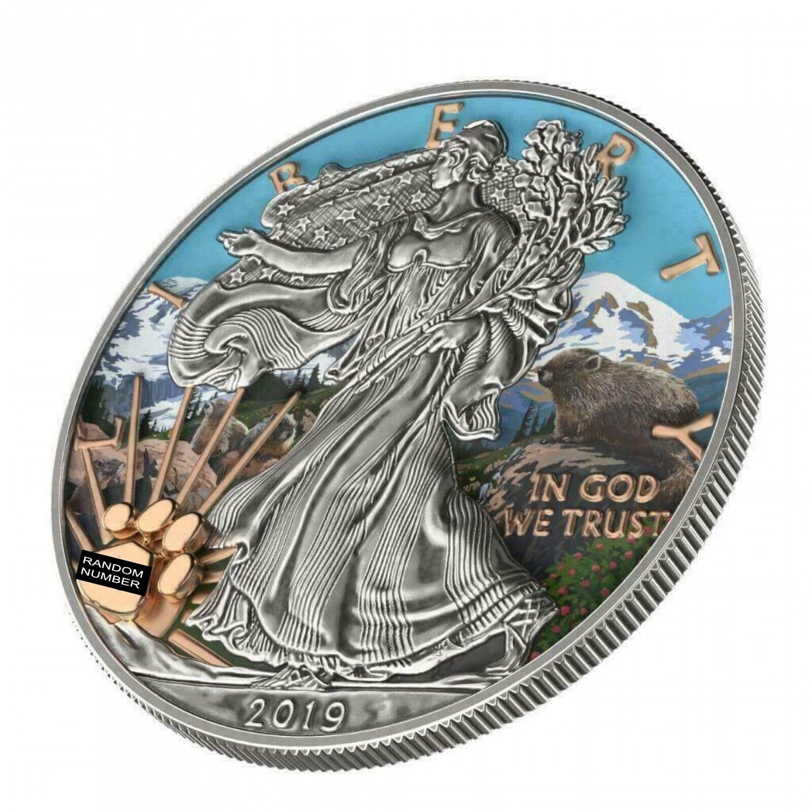 1 Oz Silver Coin 2019 $1 Liberty National Parks of The USA - Mount Rainer-classypw.com-1