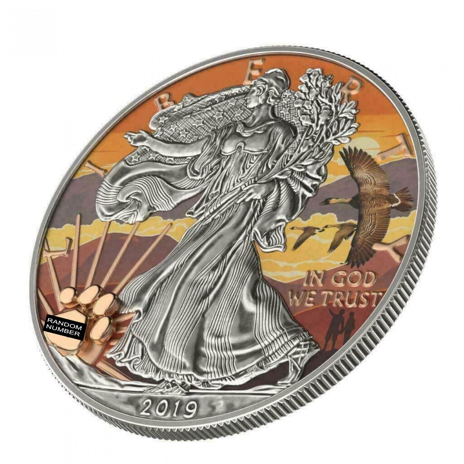 1 Oz Silver Coin 2019 $1 Liberty National Parks of The United States - Haleakala-classypw.com-1