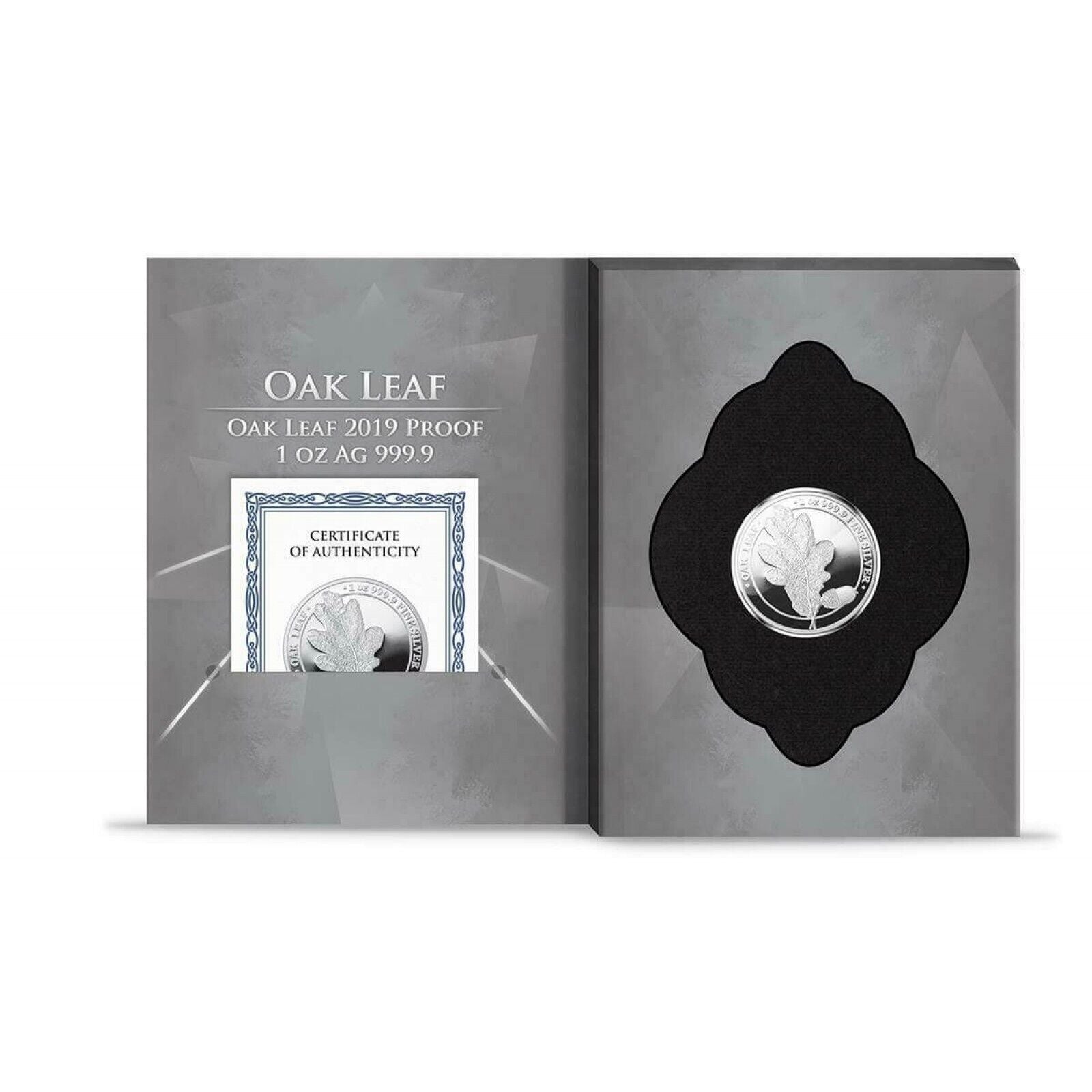 1 Oz Silver Coin 2019 5 Mark Germania Oak Leaf Proof Silver - only 1000 made-classypw.com-3