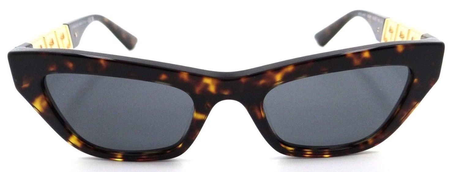 Versace Sunglasses VE 4419 108/87 52-21-145 Havana / Dark Grey Made in Italy-8056597620000-classypw.com-1